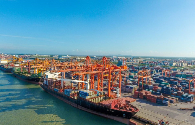 Over 425 million tonnes of cargo handled at seaports in seven months ảnh 1 Over 425 million tonnes of cargo handled at seaports in seven months ảnh 1