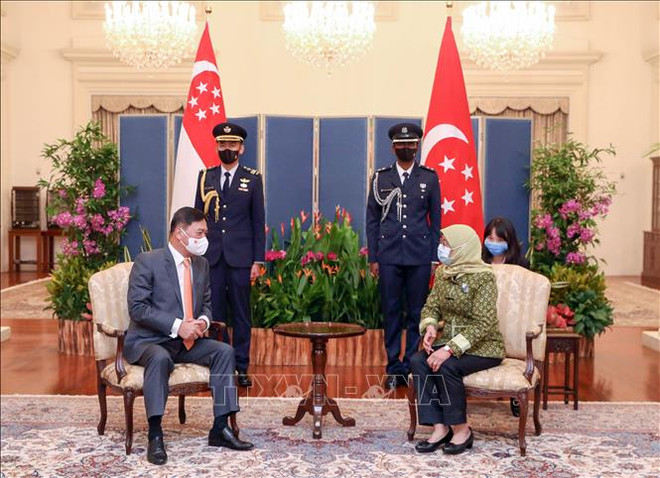 Singaporean President delighted at development of ties with Vietnam ảnh 1