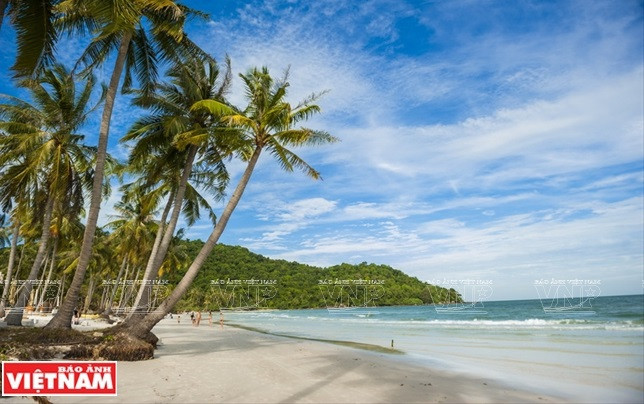 Phu Quoc inoculates entire population to revive tourism ảnh 1