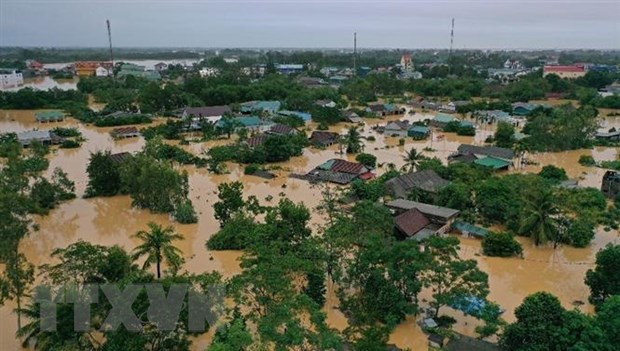 Central provinces receive seeds to restart farming after floods ảnh 1 Central provinces receive seeds to restart farming after floods ảnh 1