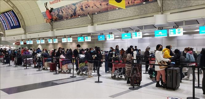 Flight brings home nearly 350 Vietnamese citizens from Canada ảnh 1 Flight brings home nearly 350 Vietnamese citizens from Canada ảnh 1