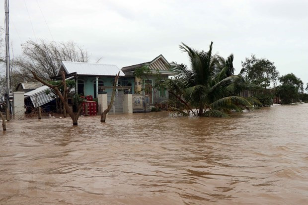 Disasters may cost Vietnam 1.5 pct of GDP annually ảnh 1 Disasters may cost Vietnam 1.5 pct of GDP annually ảnh 1
