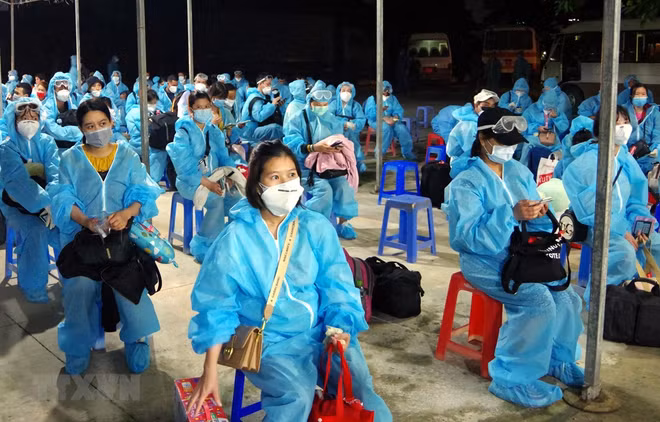 Nearly 280 Vietnamese citizens repatriated from Europe ảnh 1