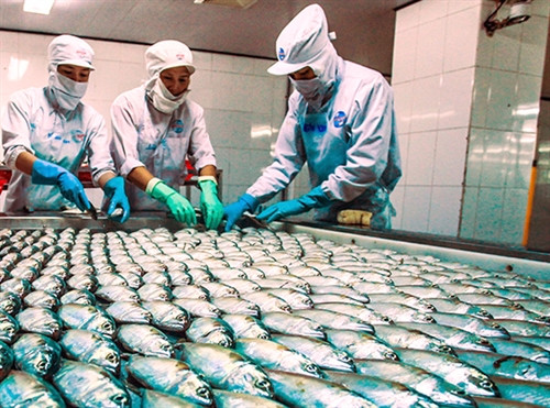Vietnam’s seafood exports to benefit from TPP ảnh 1 Vietnam’s seafood exports to benefit from TPP ảnh 1