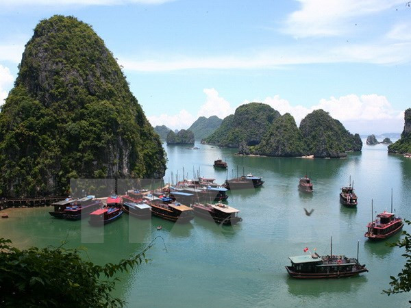 Ministry proposes to host ASEAN Tourism Forum 2019 ảnh 1 Ministry proposes to host ASEAN Tourism Forum 2019 ảnh 1