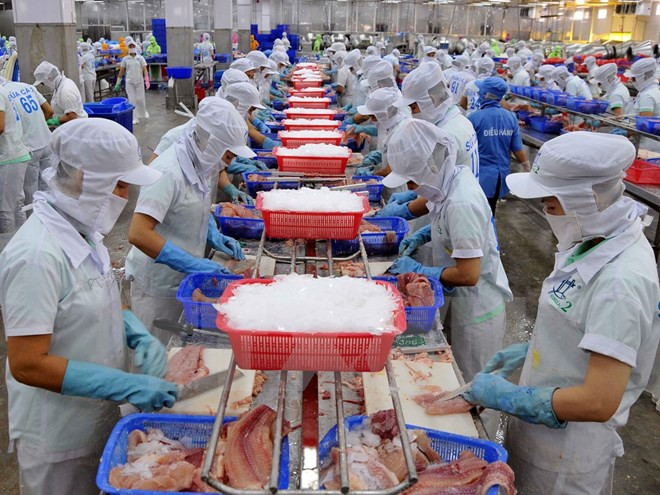 Bac Lieu earns 288 million USD from seafood exports ảnh 1