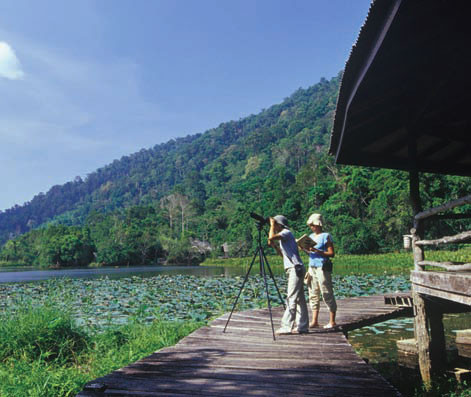 Holidaymakers suggested visiting Thailand's Thale Ban National Park ảnh 1 Holidaymakers suggested visiting Thailand's Thale Ban National Park ảnh 1