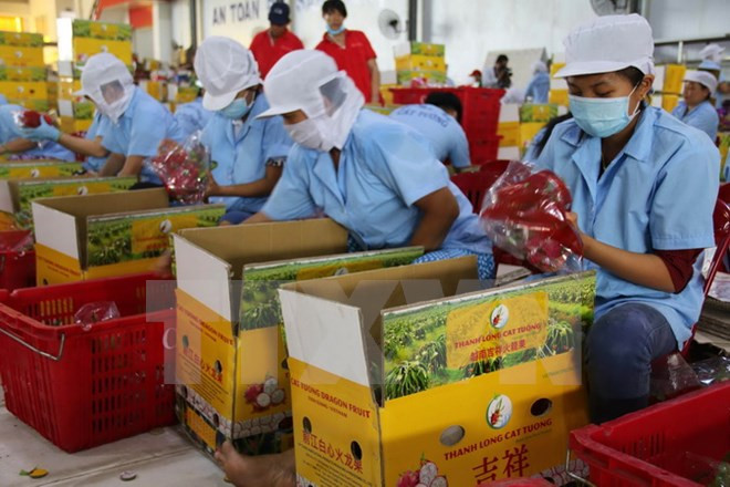 Vietnam hoped to become EU’s largest trade partner in ASEAN ảnh 1 Vietnam hoped to become EU’s largest trade partner in ASEAN ảnh 1