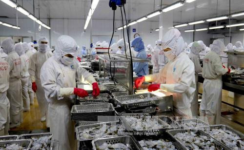 Seafood exports estimated at 8 bln USD in 2017 ảnh 1