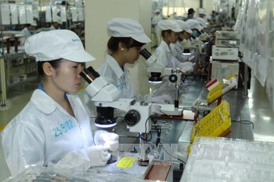 Foreign investment key to Vietnamese growth: experts ảnh 1 Foreign investment key to Vietnamese growth: experts ảnh 1