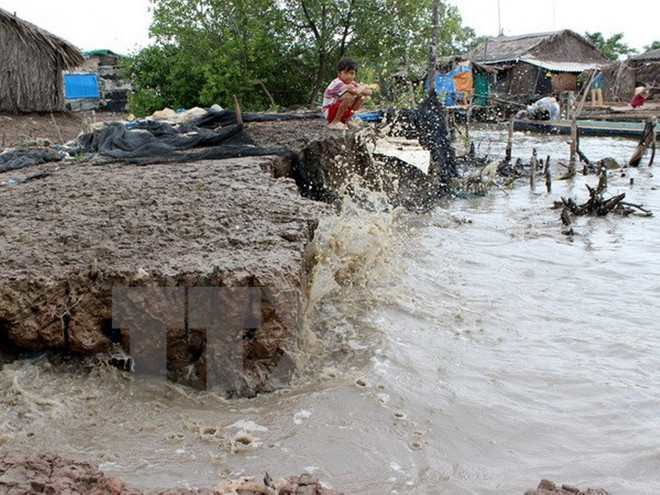 Ca Mau tackles climate change ảnh 1