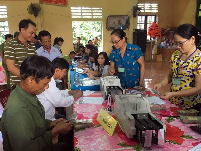 Central region recovers after mass fish deaths ảnh 1 Central region recovers after mass fish deaths ảnh 1