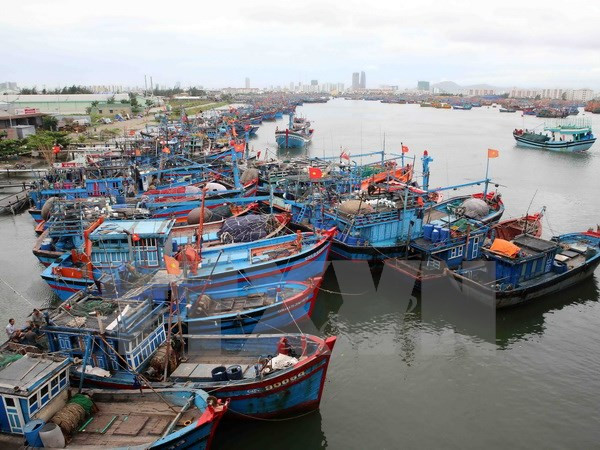 Preparations for storm Aere hastened ảnh 1