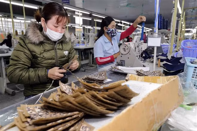 Vietnam's leather and footwear exports hit 3.97 bln USD in Q1 ảnh 3