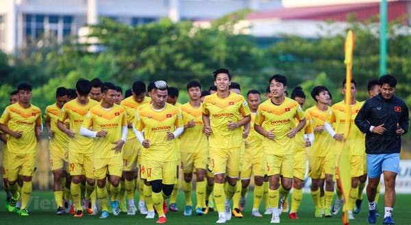 Vietnam's national team to gather in early August in preparation for World Cup qualifiers ảnh 1