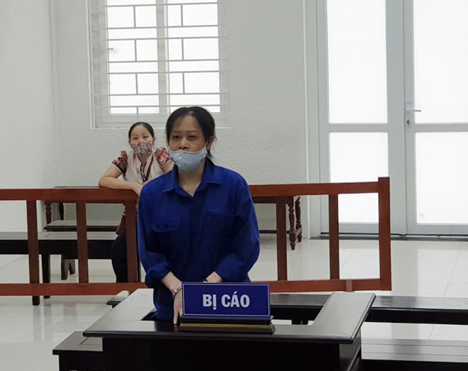 Hanoi woman sentenced to jail for anti-State activities ảnh 1