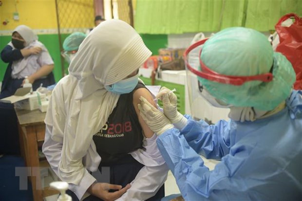 Indonesia aims to vaccinate over 200 million citizens ảnh 1