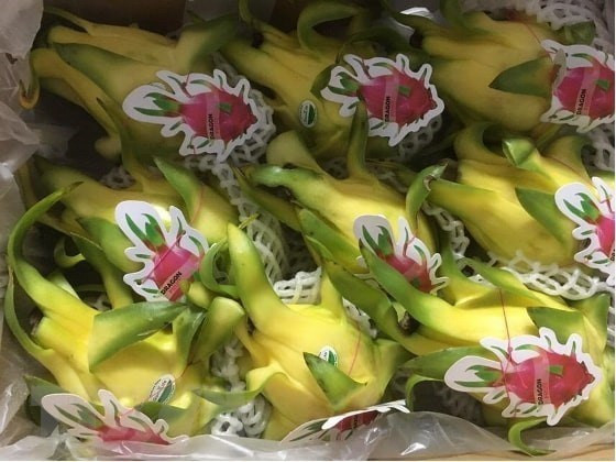 Vietnamese dragon fruit gains favour in Australia ảnh 1 Vietnamese dragon fruit gains favour in Australia ảnh 1