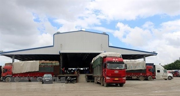 Over 1 million tonnes of goods channelled through Quang Ninh’s Mong Cai border gate ảnh 1 Over 1 million tonnes of goods channelled through Quang Ninh’s Mong Cai border gate ảnh 1