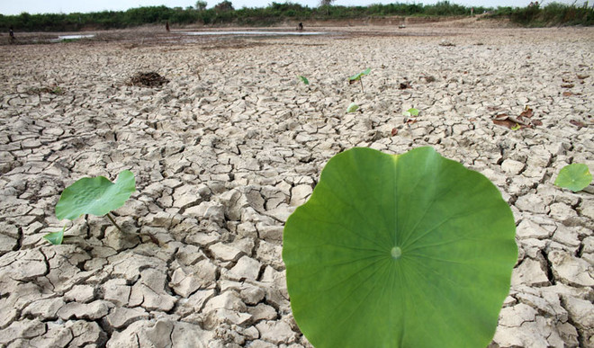 Climate change affects 79 percent of Cambodia's population ảnh 1