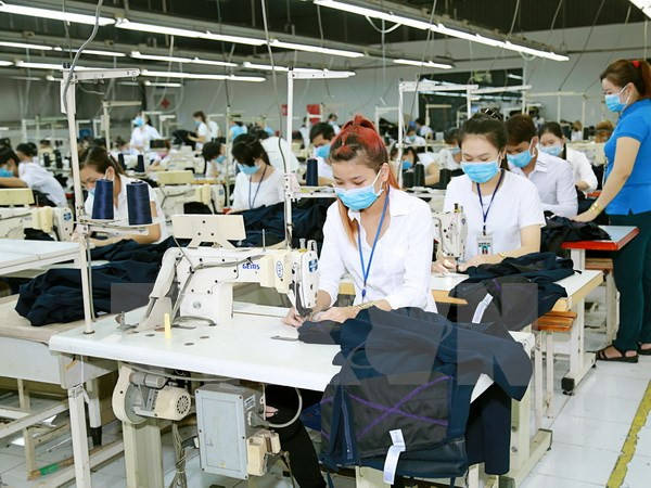 Local textile, garment businesses face difficulties in 2017 ảnh 1 Local textile, garment businesses face difficulties in 2017 ảnh 1