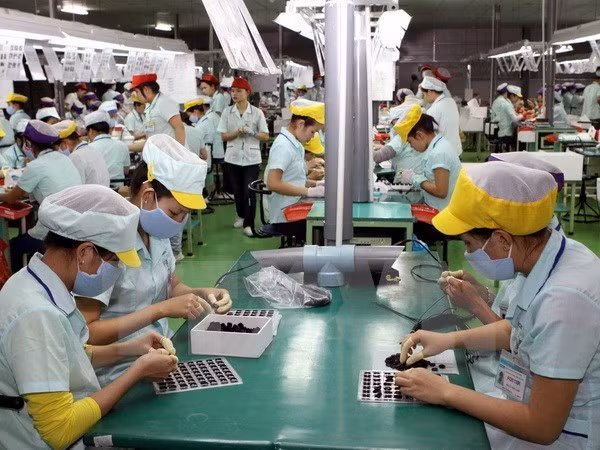 ASEAN seeks sustainable employment for labourers ảnh 1