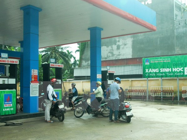 Decision to ensure high quality bio-fuel supplies ảnh 1