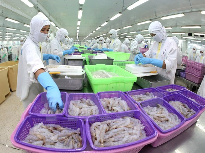 US rescinds part of antidumping duty review on shrimp from Vietnam ảnh 1