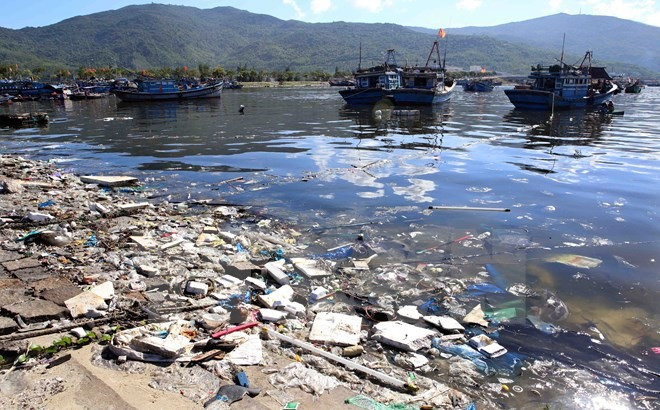 Coastal Da Nang city faces severe pollution problems ảnh 1