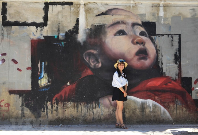 Mural paintings give Hue's old walls new look ảnh 4