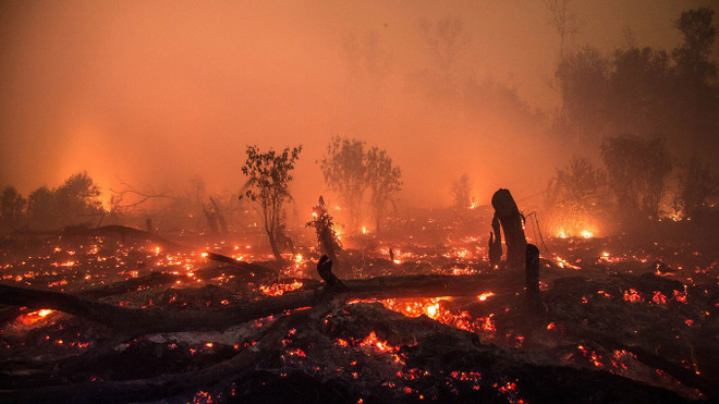 Indonesia works to prevent forest fires during Asian Games ảnh 1 Indonesia works to prevent forest fires during Asian Games ảnh 1