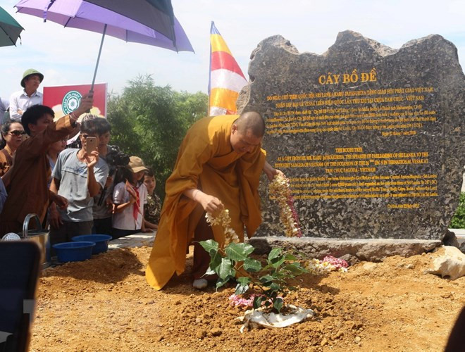 Sri Lanka’s Bodhi tree planted at Tam Chuc Pagoda ảnh 1