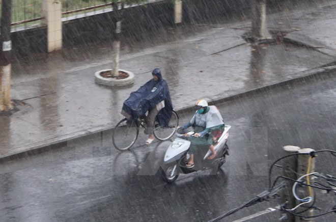 Downpour brings relief to drought-stricken Long An ảnh 1