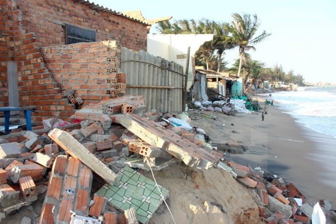 Tien Giang proactive to prevent landslides ảnh 1