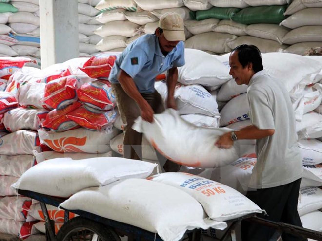 Rice shipments drop in nine months ảnh 1