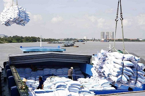 Rice exports expected to fall sharply this year ảnh 1
