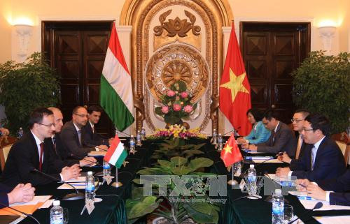 Vietnam, Hungary further ties across wide-ranging areas ảnh 1