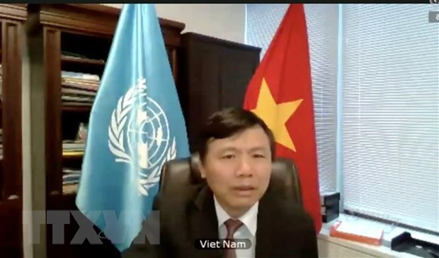 Vietnam joins UNSC open debate on peace operation, human rights ảnh 1