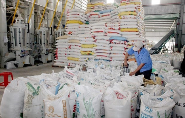 Rice exports up nearly 18 percent in H1 ảnh 1
