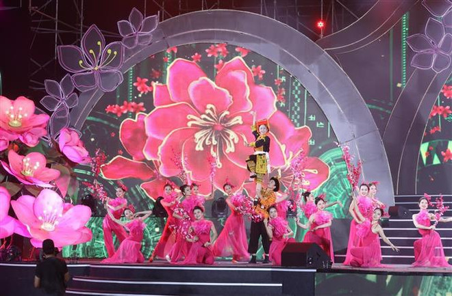 Lang Son peach blossom festival in full swing ảnh 1