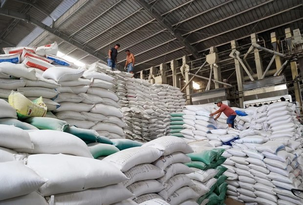 Vietnamese companies win Indonesian rice contracts ảnh 1