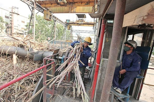 Sugar companies flourish with strong business performance in 2023 ảnh 1 Sugar companies flourish with strong business performance in 2023 ảnh 1