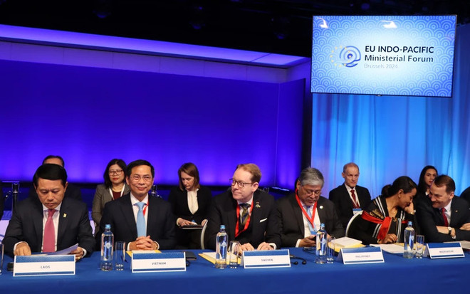 Vietnam ready to build green transformation cooperation model with EU ảnh 1