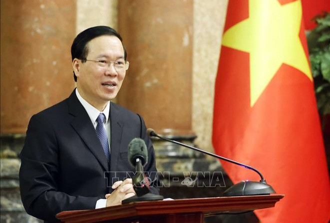 President ratifies Vietnam-Italy agreement on mutual legal assistance in criminal matters ảnh 1