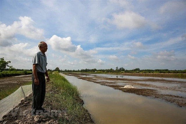 Mekong Delta urged to closely monitor saline intrusion forecasts in February ảnh 1
