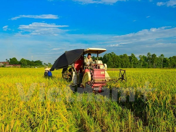 Agricultural products seek to gain footholds in foreign markets ảnh 1