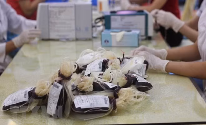 HCM City faces shortage of blood stock for Tet ảnh 1