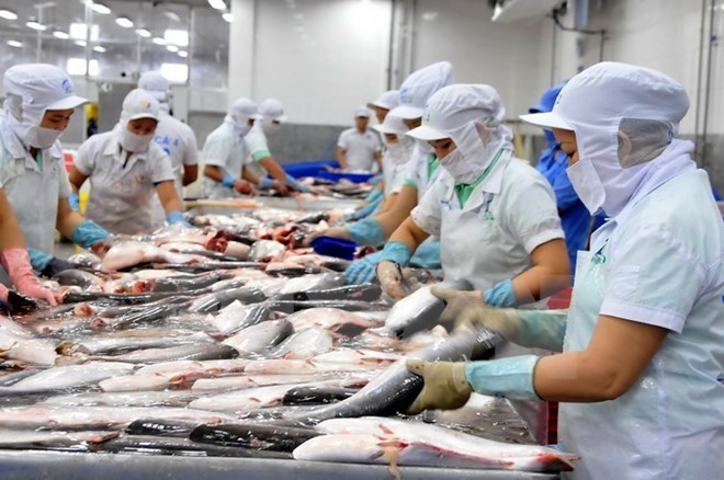 Seafood export earnings surge 6.8 percent in 11 months ảnh 1