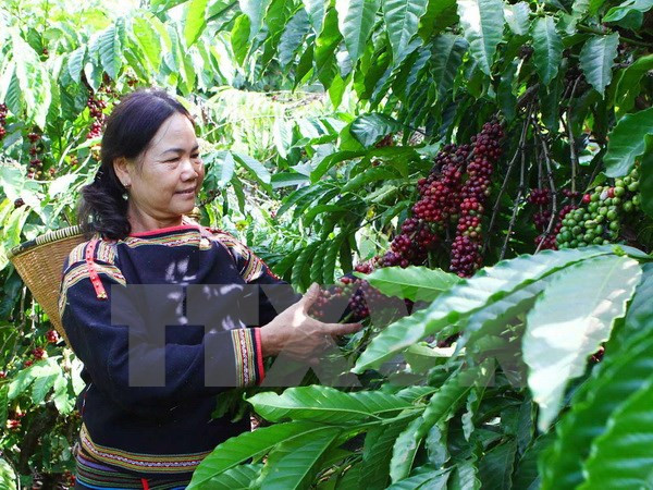 Central Highlands poor localities benefit from Government programme ảnh 1