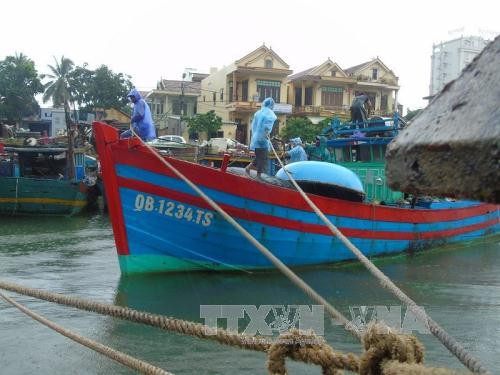 Timely countermeasures needed to minimise losses by storm Doksuri ảnh 1 Timely countermeasures needed to minimise losses by storm Doksuri ảnh 1